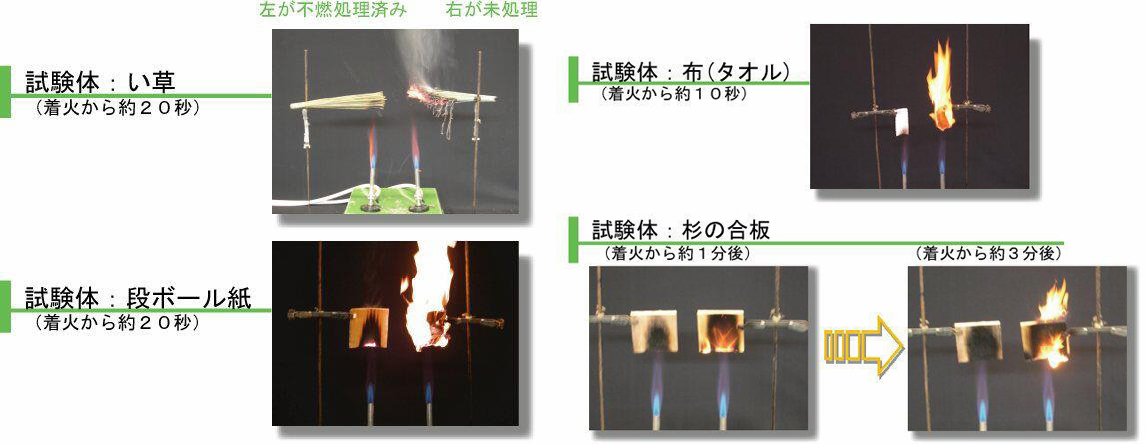 発熱性試験